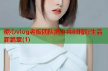 糖心vlog老板团队携手共创精彩生活新篇章(1)