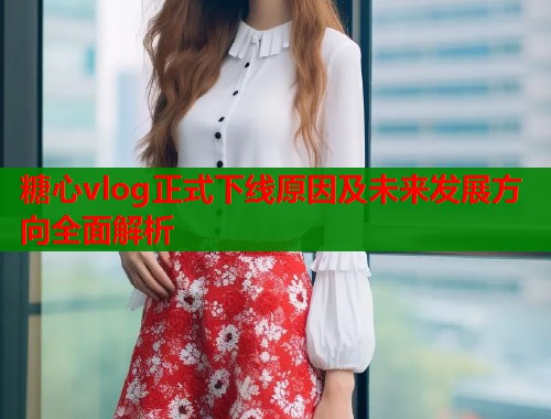 糖心vlog正式下线原因及未来发展方向全面解析  第1张