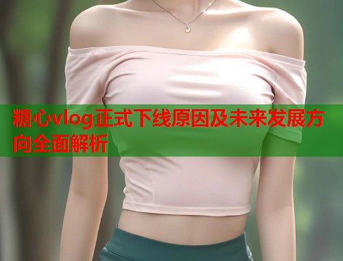 糖心vlog正式下线原因及未来发展方向全面解析  第2张